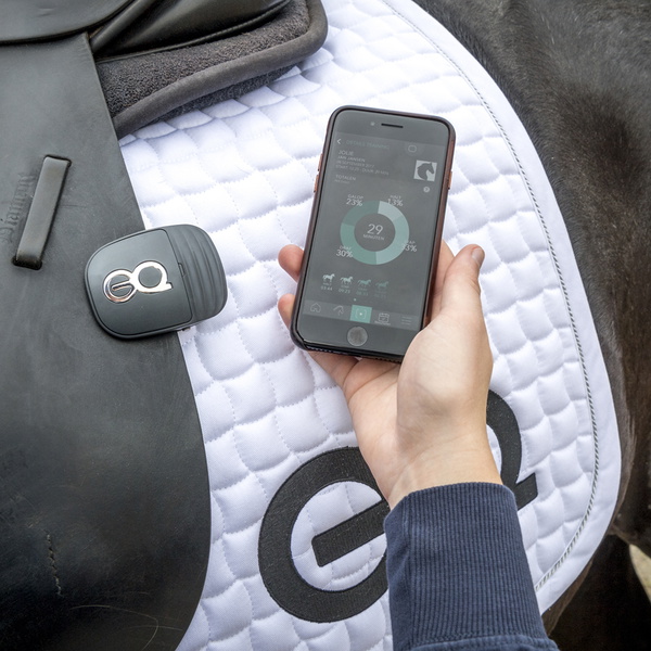 Equestic Pferdesattelclips Und Pferdetraining